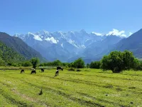 Taohua Yun Hotel - Mountain View