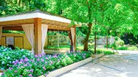 Emei Mountain Hot Spring Hotel - balneario