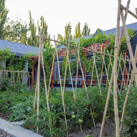 Yining · Jianpoju | Mellow · Vale · Garden Courtyard Homestay (Bayandai Town)