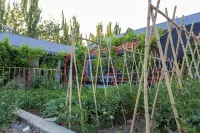 Yining · Jianpoju | Mellow · Vale · Garden Courtyard Homestay (Bayandai Town) - Pet friendly