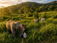 3Pok wake with elephants - parking