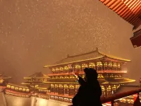 Luoyang Qingqing Yuanshe Homestay (Lijingmen Cross Street Store)