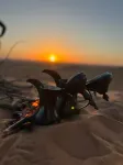 Luxury Desert Camp Oman Hotel di Bidiyah