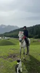 瓊庫什臺綠野山荘