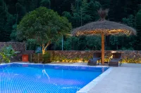 Southern Sichuan Bamboo Sea Yun Ying Gu · Private Hot Spring Homestay