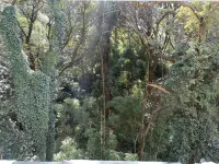 jizushanDeyunxuan Hotel a Binchuan