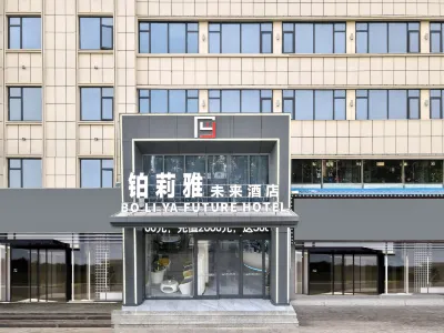 Boliya Future Hotel