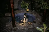 Tiffin Moganshan Su-style garden private soup medicine bath hot spring villa - Hot Springs
