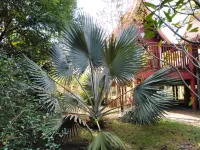 Green Gecko Hotel di 
