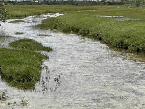 Snowtop Westernmost Lodge · Taxian Nổi bật Photos