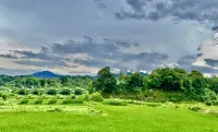 Chaji Pastoral Cottage