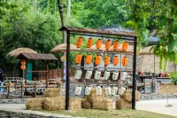 Wutongshan Ju Homestay