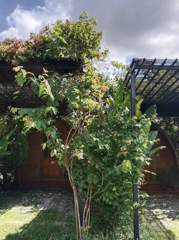 รูปภาพของไออุ่น รีสอร์ท