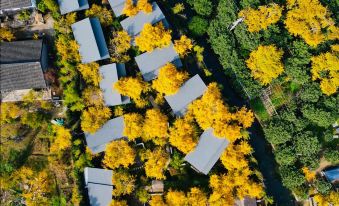 Suzhou Ruixiangyuan Ginkgo Gardens Hotel