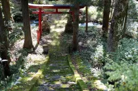 Little Japan Echigo - غرفة مطلة على الجبل