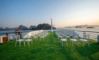 Halong Dragon Bay Cruise
