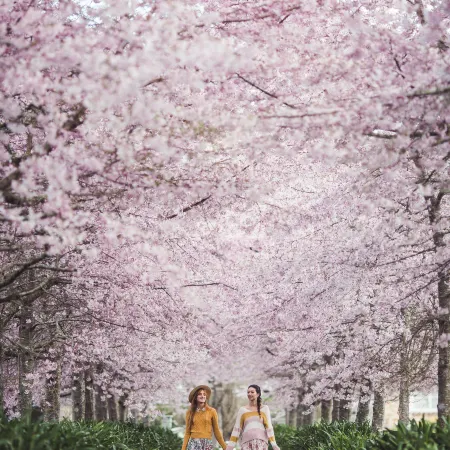 English Cherry Tree Manor