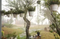 Mountain Nest Villa Dalat - BBQ, Cloud Hunting, Camping - Villas