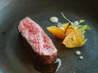 Snow Peak FIELD SUITE SPA HEADQUARTERS فنادق في سانجو