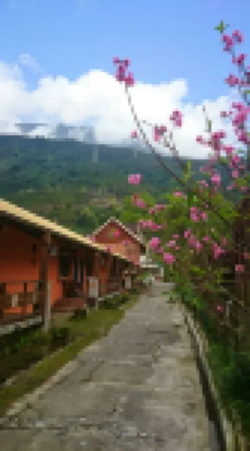 花蓮莫內花園民宿 鄰近鯉魚潭的酒店