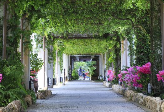 오쿠마 프라이빗 비치 & 리조트 해변