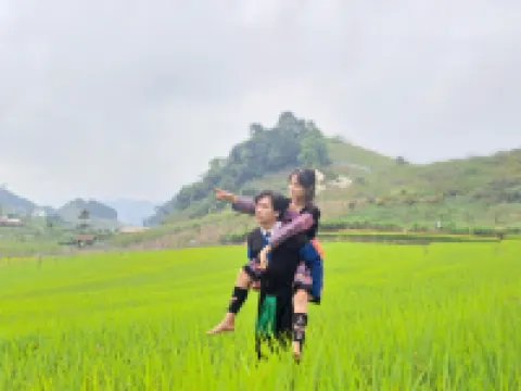 Khu nghỉ dưỡng & nhà hàng Vigolando Vân Hồ Các khách sạn ở Vân Hồ