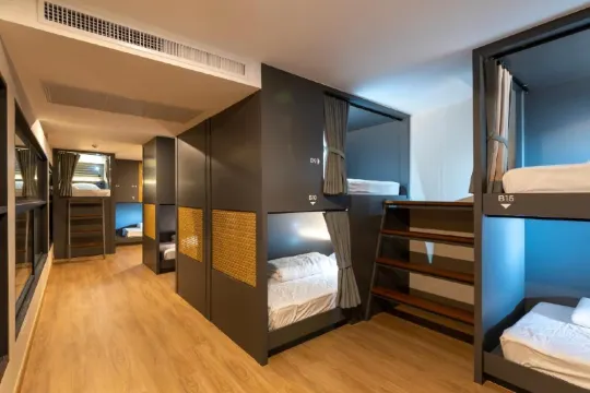 Bed In Bunk Mixed Dormitory Room (Mixed Gender)