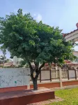 Pattaya Jomtien Beach 4 bedroom villa