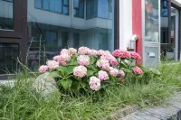 Shanghai Zhujiajiao Qingyuan Xiaoyin Homestay - 홈스테이