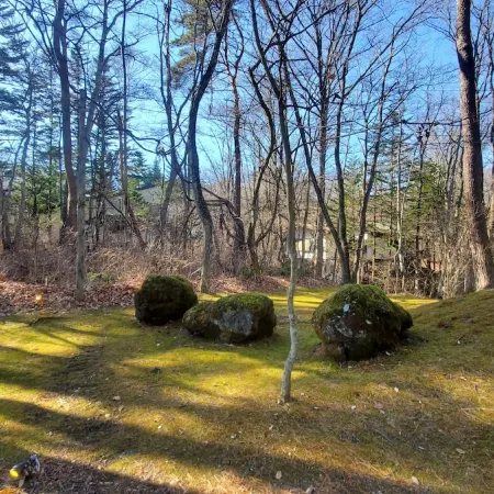 Kawa No Mori Villa Karuizawa - Ghibli-like Enchanted Riverside Moss Garden Forest Retreat