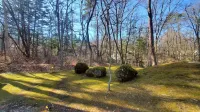 Kawa No Mori Villa Karuizawa - Ghibli-like Enchanted Riverside Moss Garden Forest Retreat - Villas