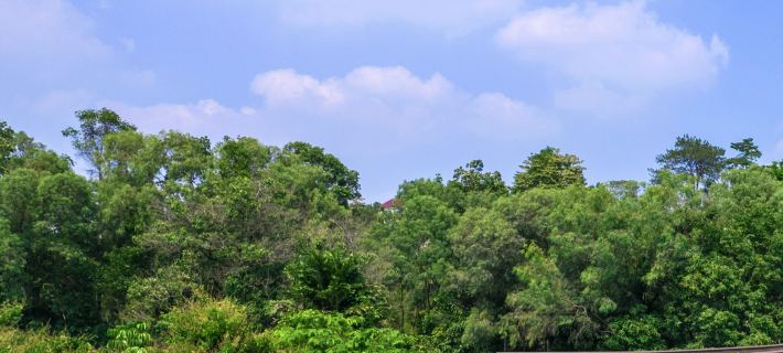Yinzhan Narada Resort Hotel Hotels in Qingyuan