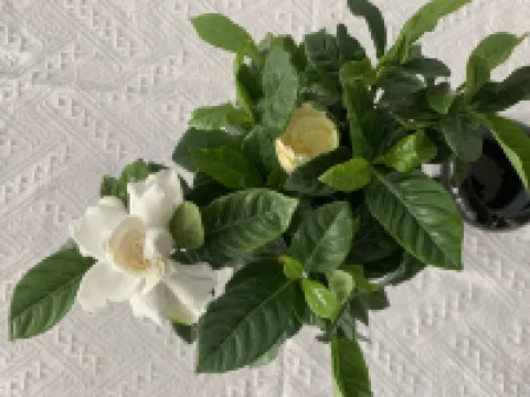 916 Youth Inn (Yangshuo West Street Branch)