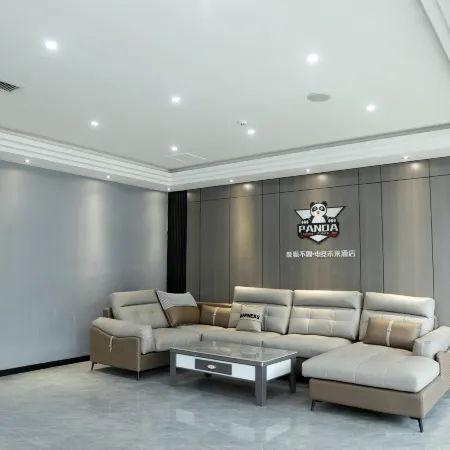 Panda not sleepy e-sports future hotel