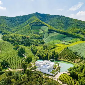 Nanshan Bamboo Seadateone Banxiashan Wild Private Soup Villa