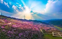 Panzhou Yinxin Hotel