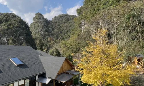 Xingyi Wanfeng Forest Aoki Yaju