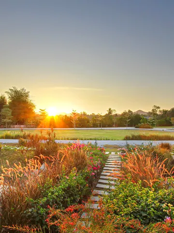 รูปภาพของไวท์น็อตเขาใหญ่