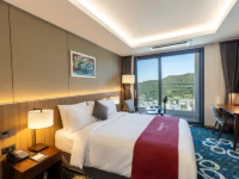 รามาดา พลาซา โดย วินดัม ดอลซัน เยโซ โรงแรมในยอซู