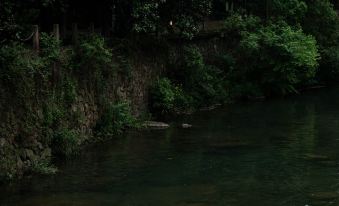 Hangzhou Luqishanju·Summer Starry Sky Pool Resort