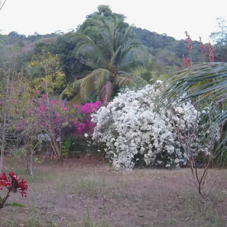 KEP LODGE