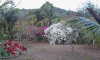 KEP LODGE