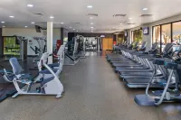 Radisson Blu Hotel and Resort Al Ain - Træningscentre