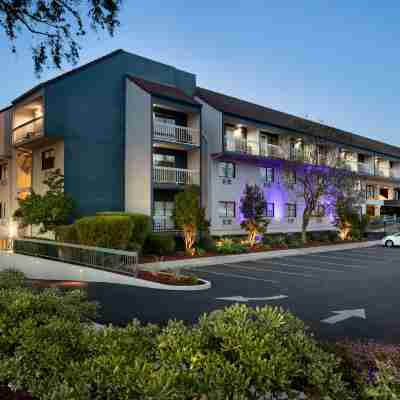 The Domain Hotel Hotel Exterior