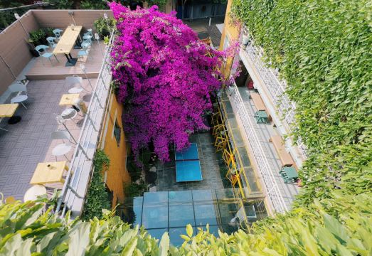 클라우드랜드 호스텔 실내