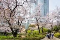 Grand Hyatt Tokyo - Mountain View