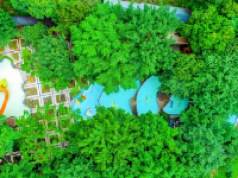 Emei Mountain Hot Spring Hotel Hotels in Emeishan City