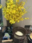 Home Inn Qufu Sankong Scenic Area Kongmiao Branch - พร้อมอาหารเช้า