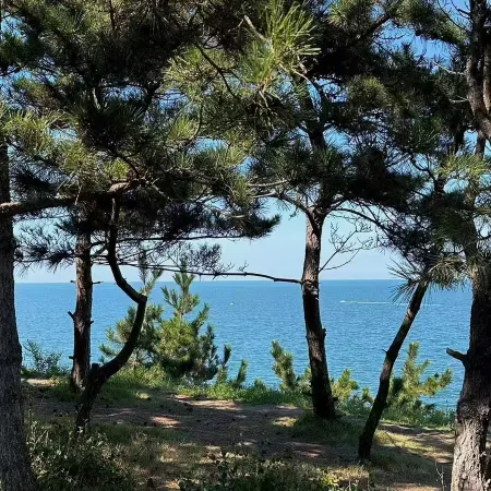 Beach Lane Resort Hotel