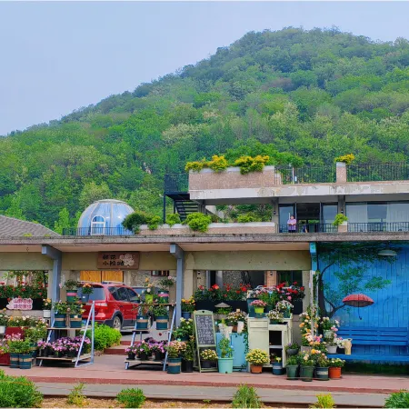 Feidong Huachaoji Flower Courtyard Homestay